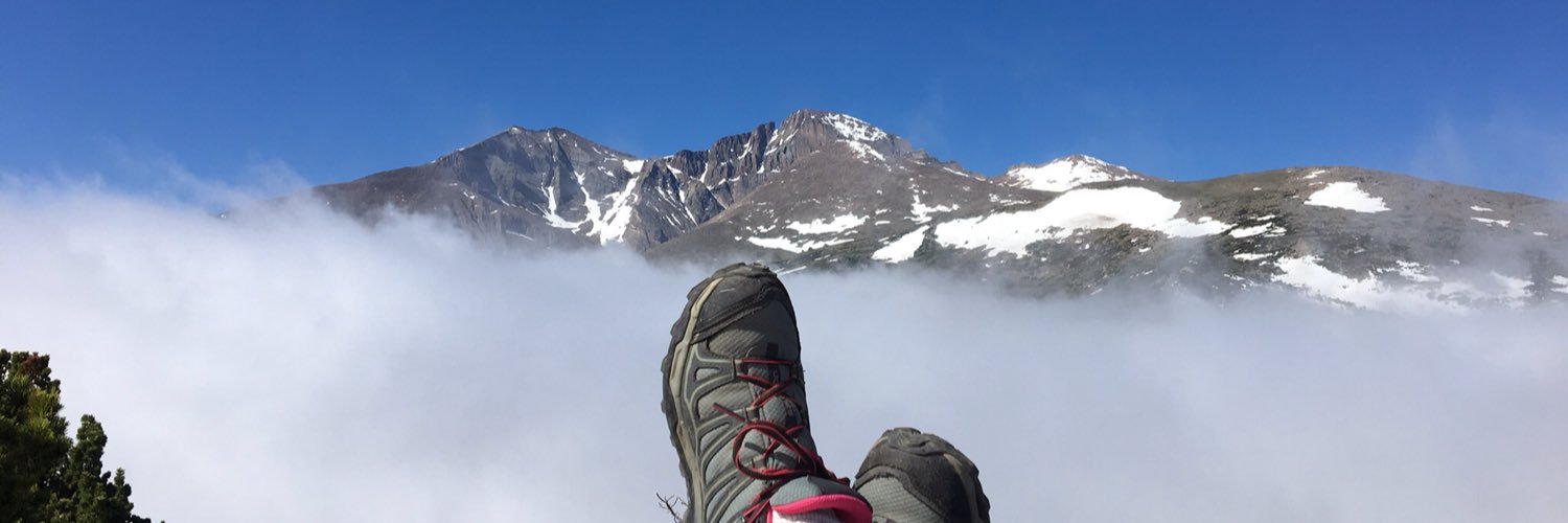 Andrea Stonebraker banner