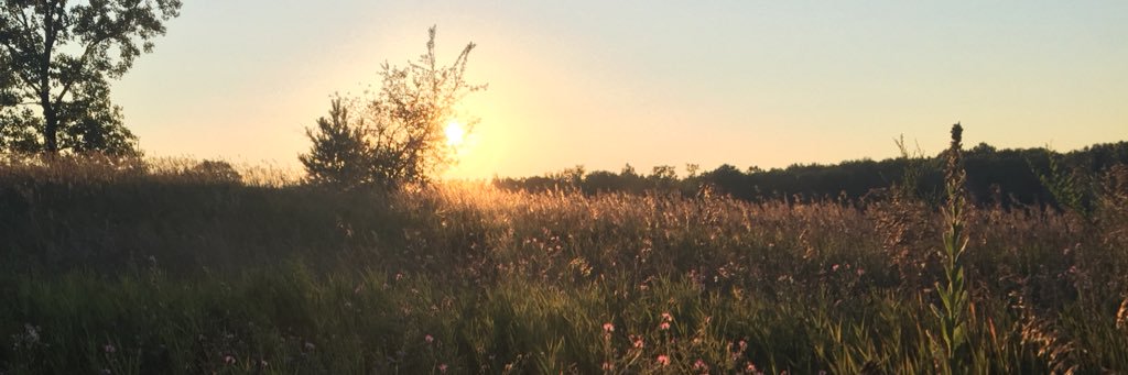 mfaith556's profile banner image
