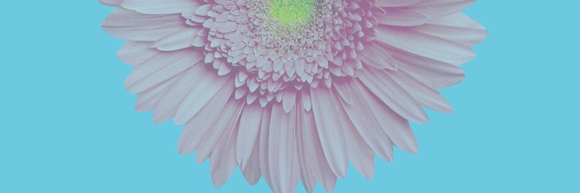 OddsEndsHarlan's profile banner image