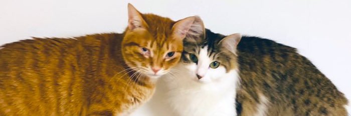rahna0907's profile banner image