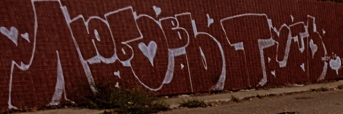 mintchoconata's profile banner image