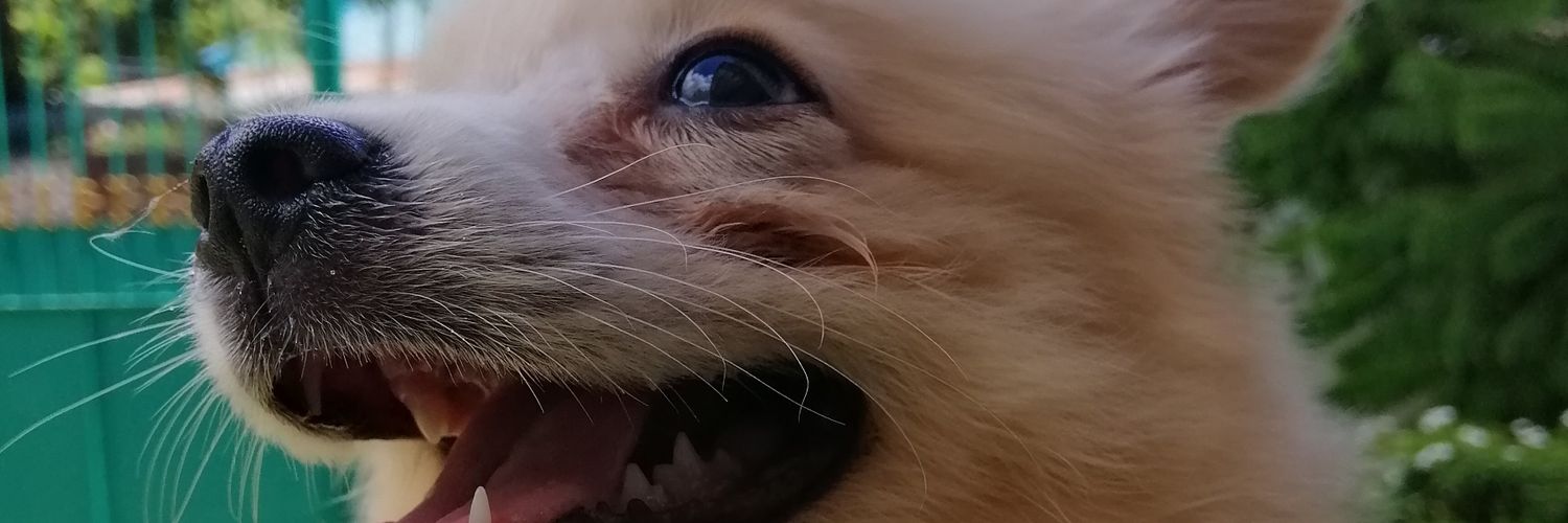 binascatherine's profile banner image