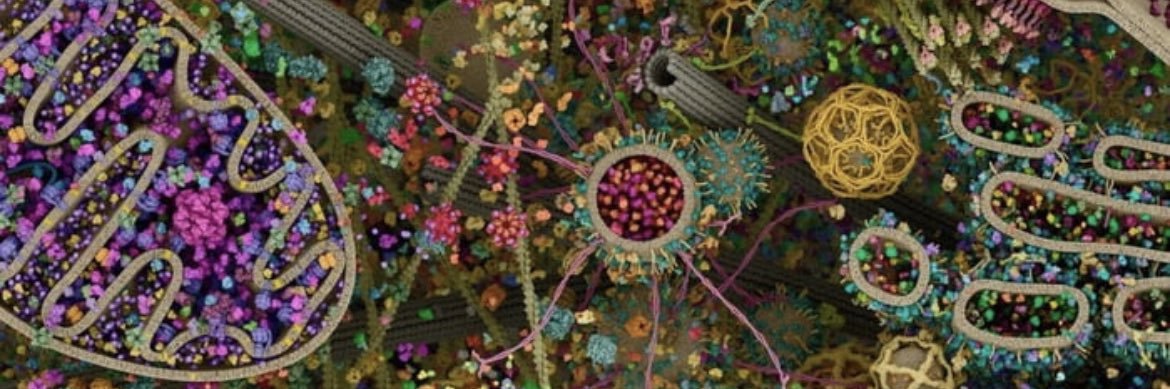 Gemma Morgan-Lees 💙 banner