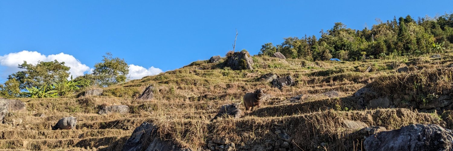 singhijohn89's profile banner image