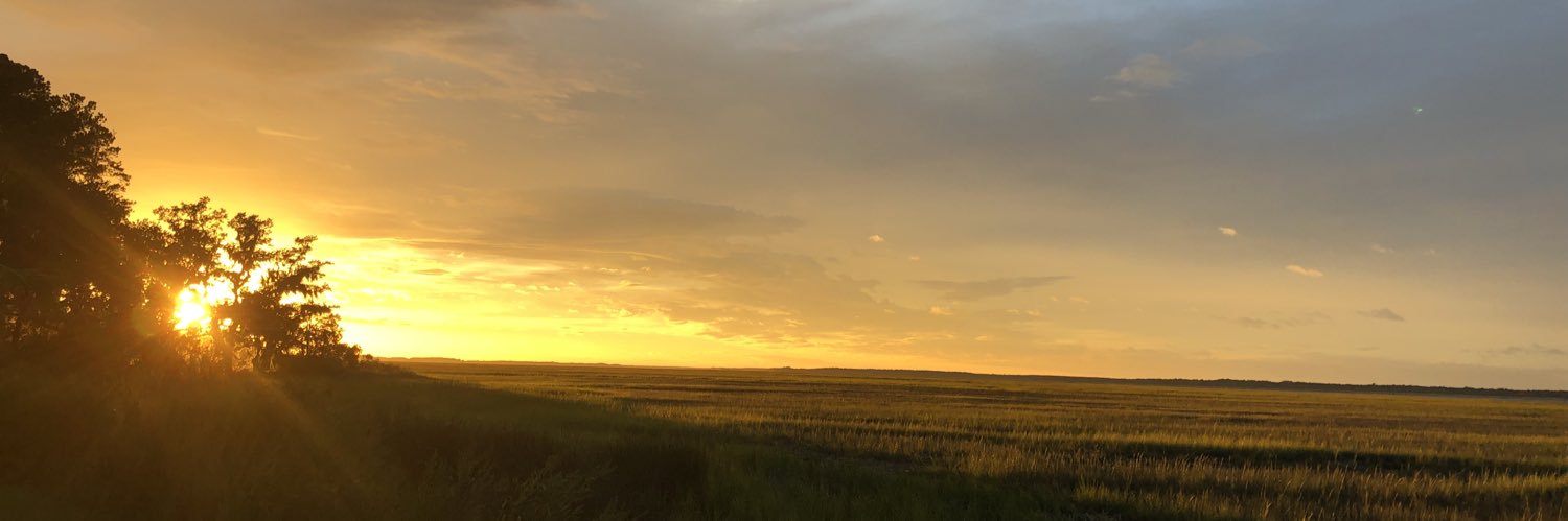 lizzilu2222's profile banner image