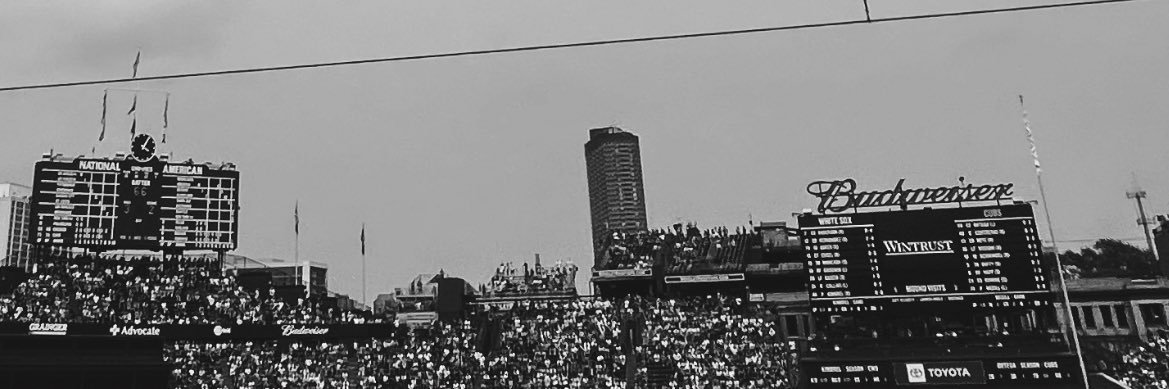 Mitchell Mayberry banner