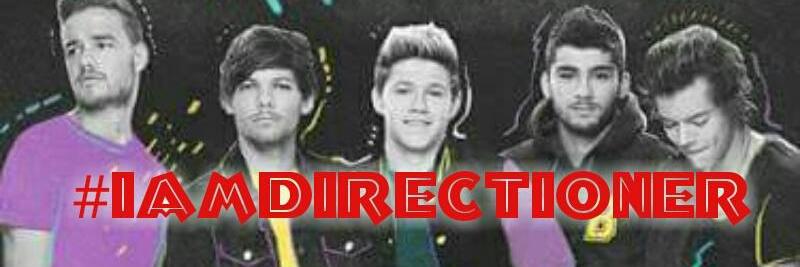 DirectionerInt's profile banner image