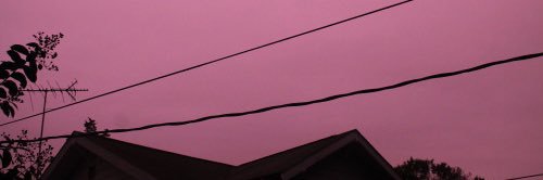 flannelwerewolf's profile banner image