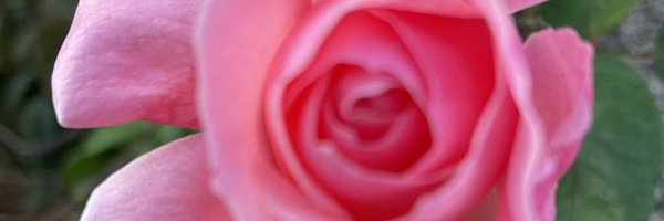 hamidmansoor89 Profile Banner