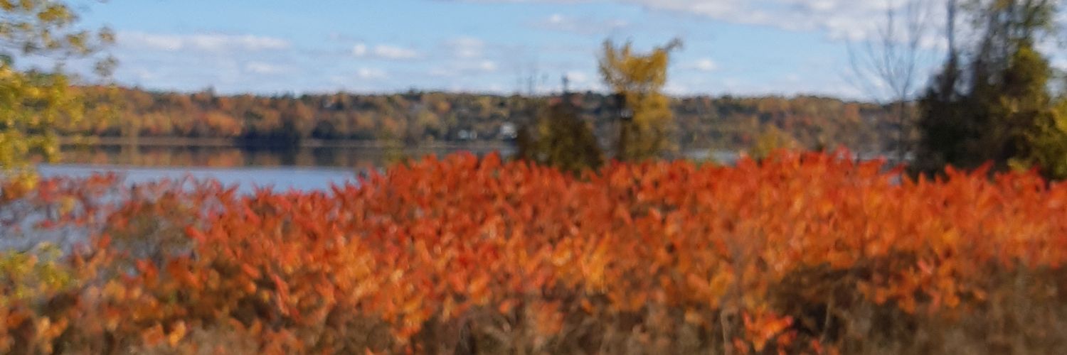 go_leblanc's profile banner image