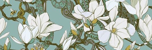 LauraHBergel's profile banner image