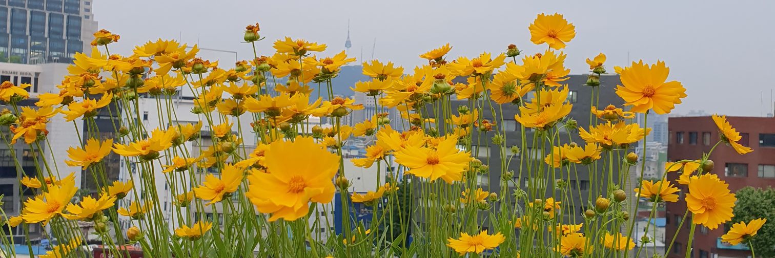 2307_5239's profile banner image