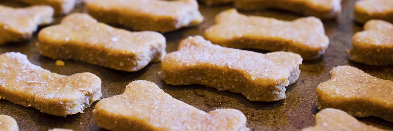 Petcipes banner