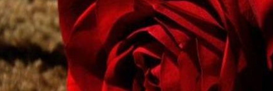 Ghala990's profile banner image