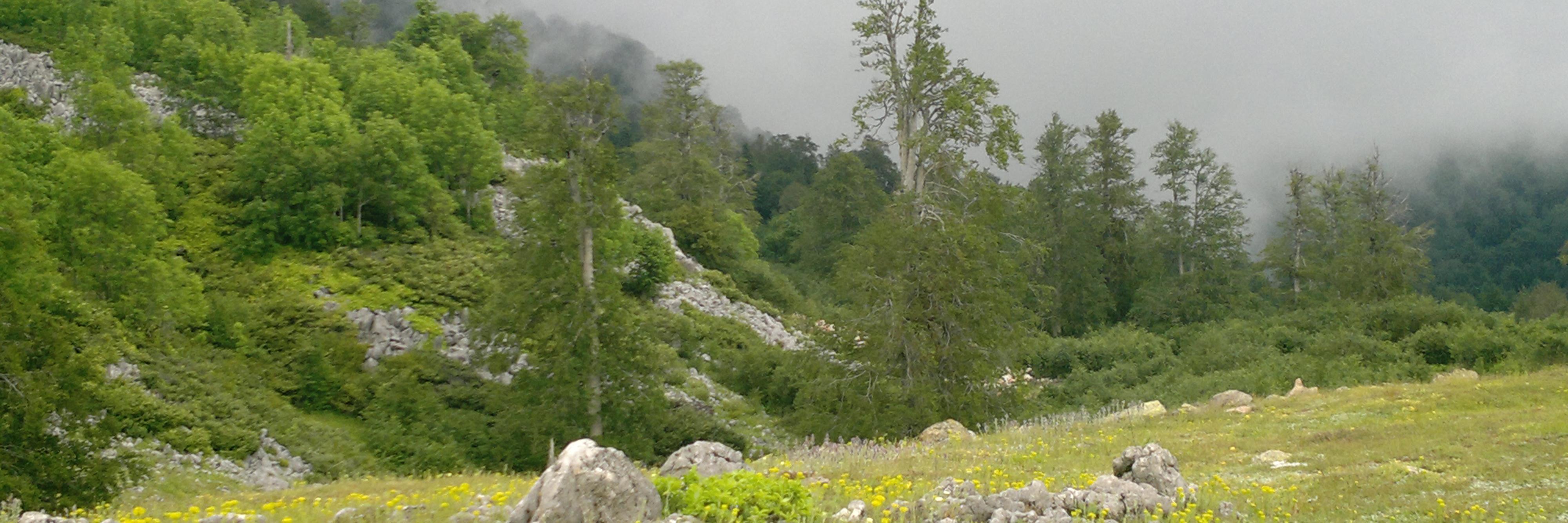 osmanatalar's profile banner image