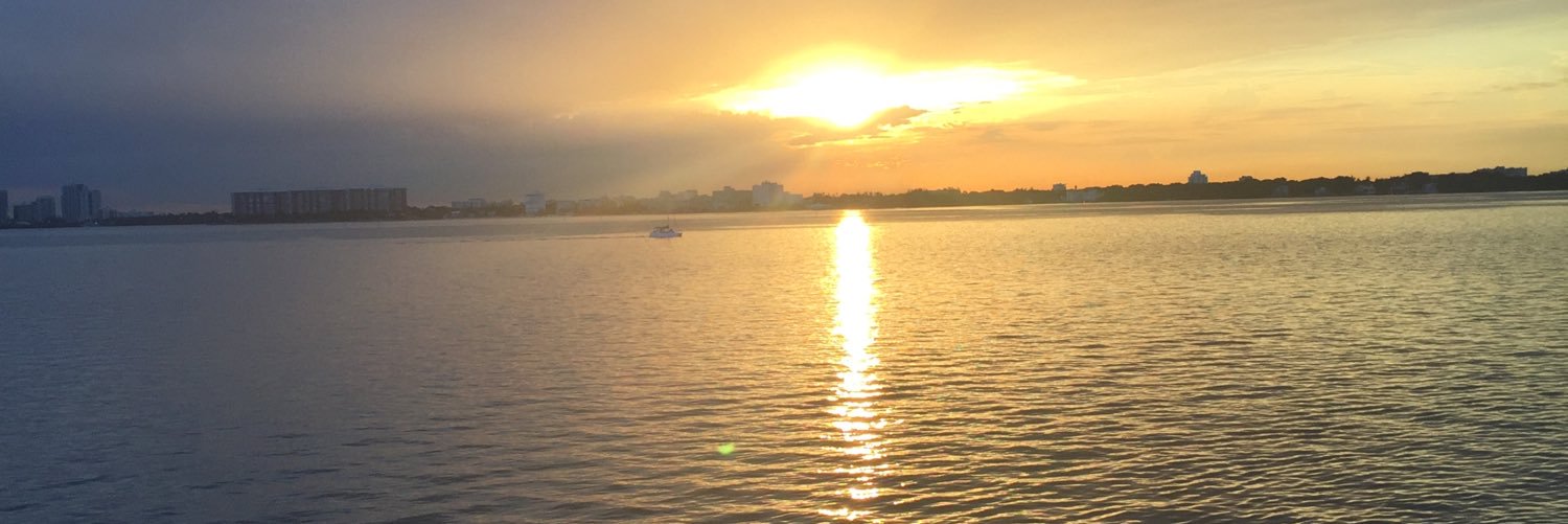 AndelizCastillo's profile banner image