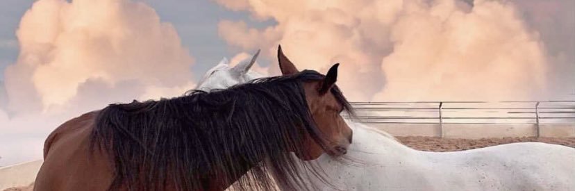 _reemf9's profile banner image