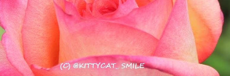 kittycat_smile's profile banner image