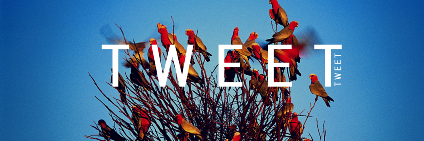 Mandar Kulkarni banner