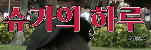 슈가의하루 banner