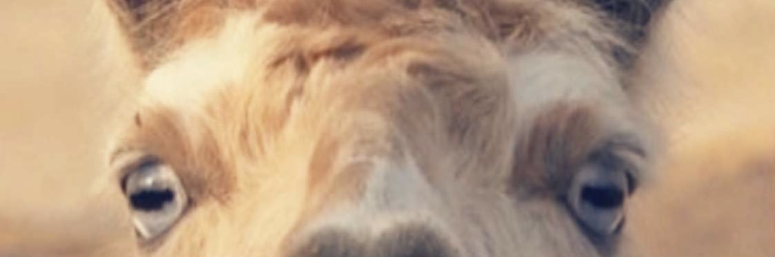 mattman7597's profile banner image