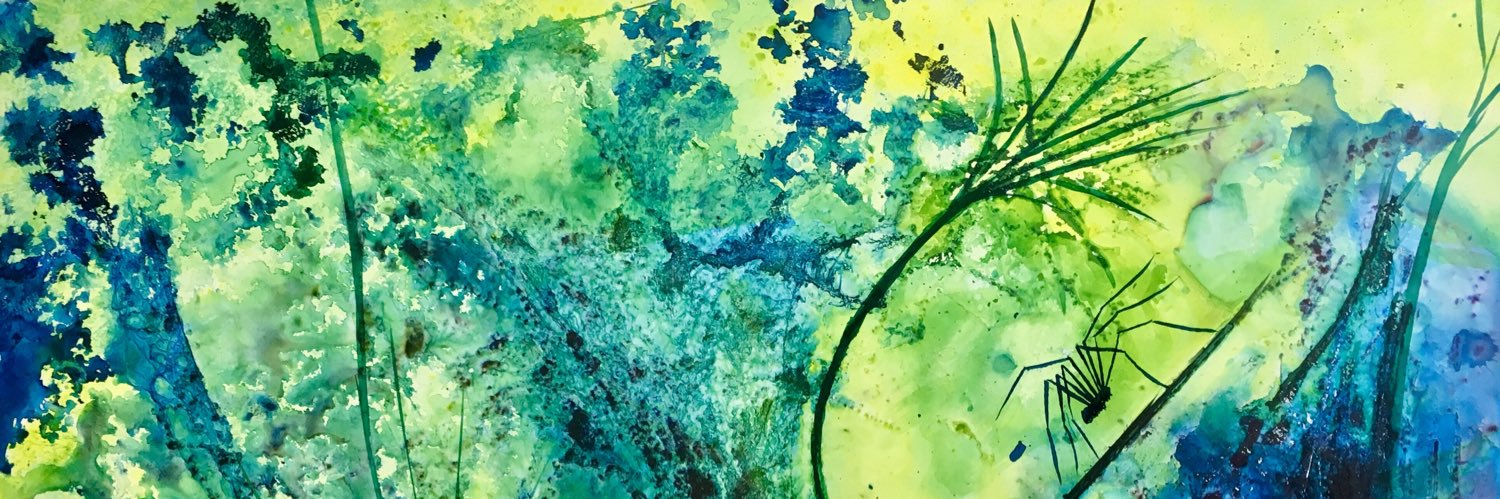 KateHDeCoux's profile banner image