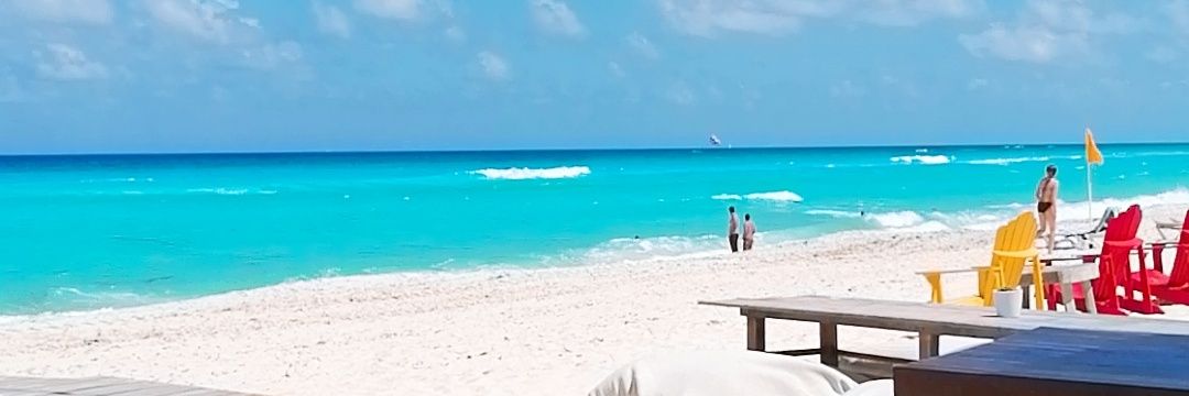 Patricia Madero banner