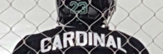CardinalDamian's profile banner image