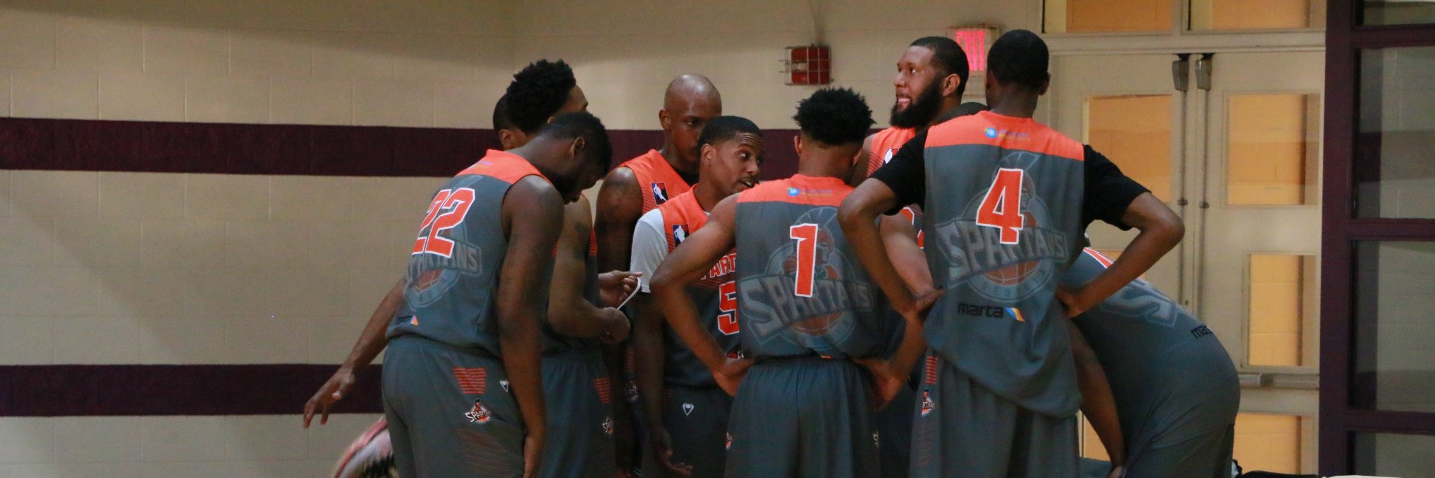 Georgia Spartans banner