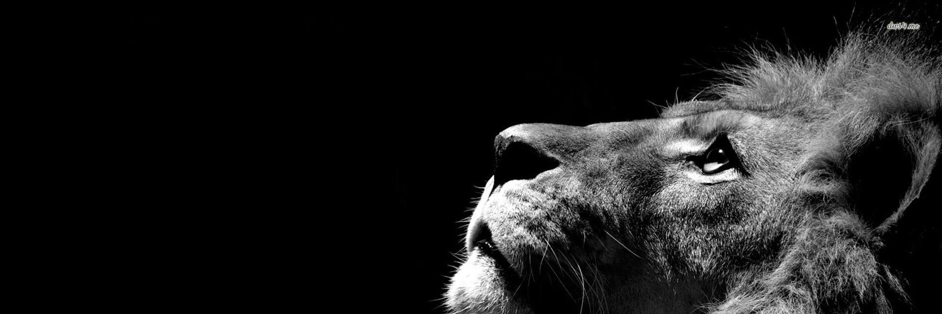 cokisin's profile banner image