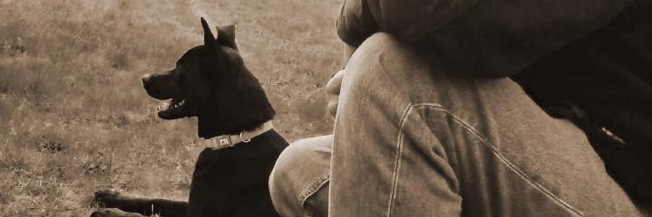 Exhausted in Phoenix banner