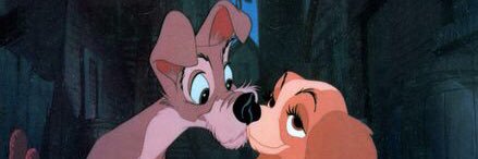 Angel Dame Lulu Wonderpaws 🌈 banner