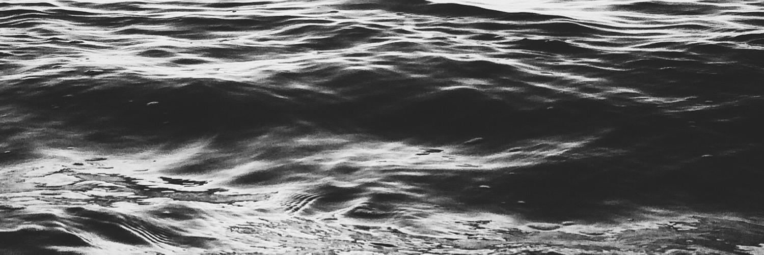 ella_arie's profile banner image