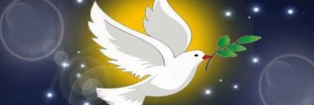 franciscomj77's profile banner image