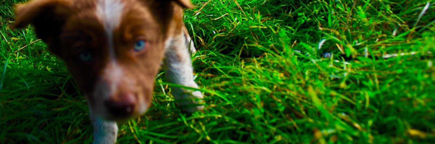 森準人 / Hayato Mori banner