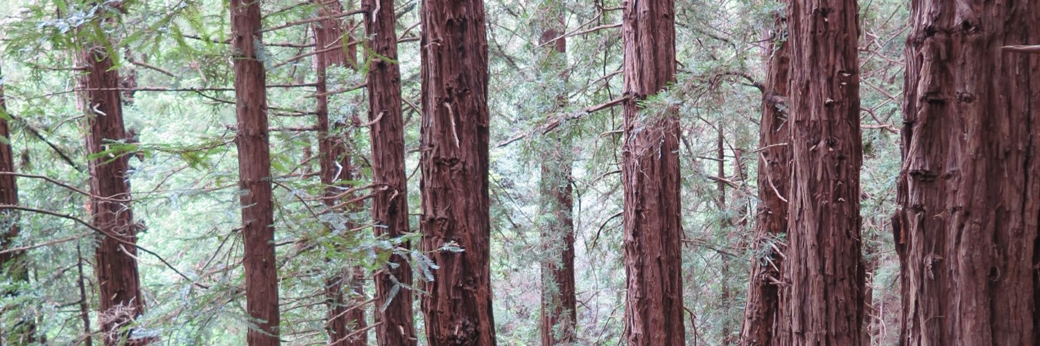 Adrian Di Giovanni banner
