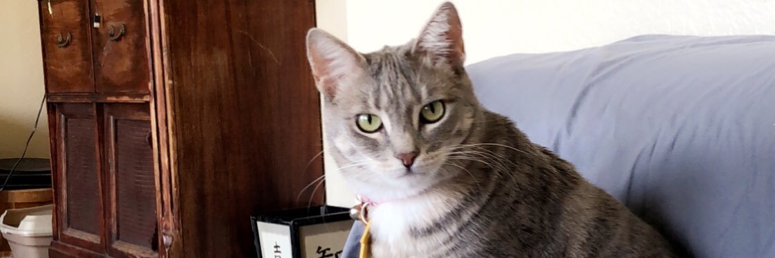 im_nessasary's profile banner image