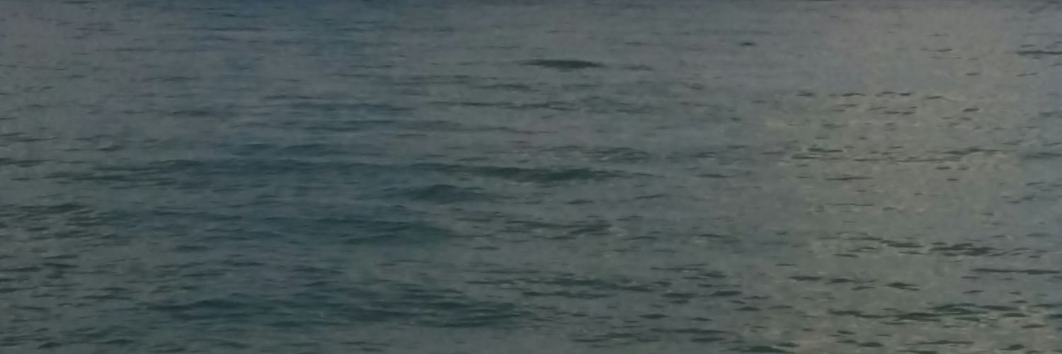 illedevatan066's profile banner image