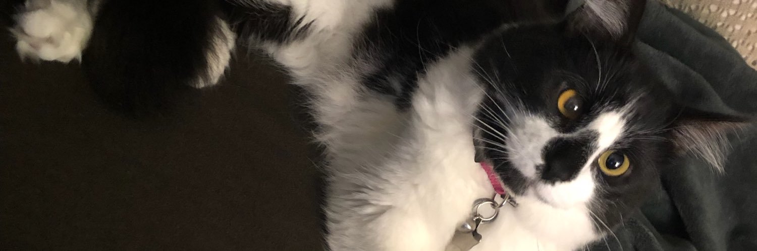 DezzyAlaniz's profile banner image