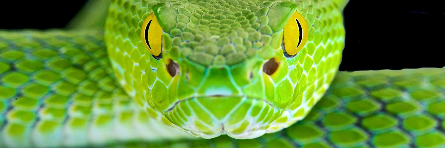 Glenn Karant (aka SNAKE) banner