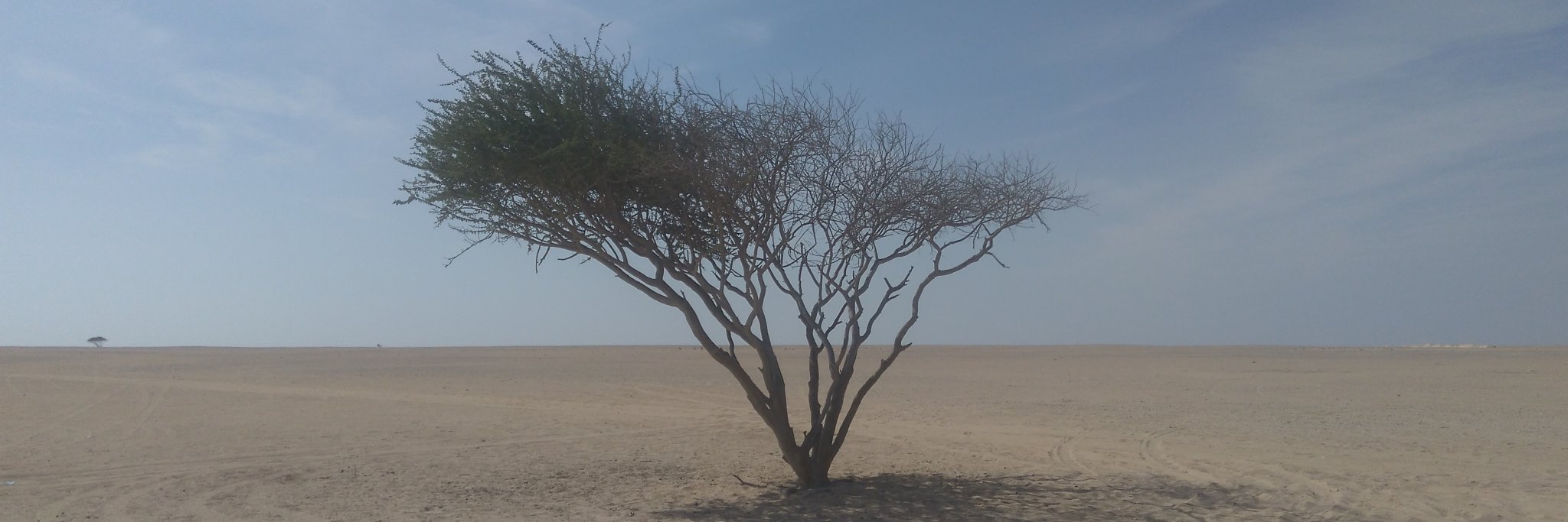 TLesales's profile banner image