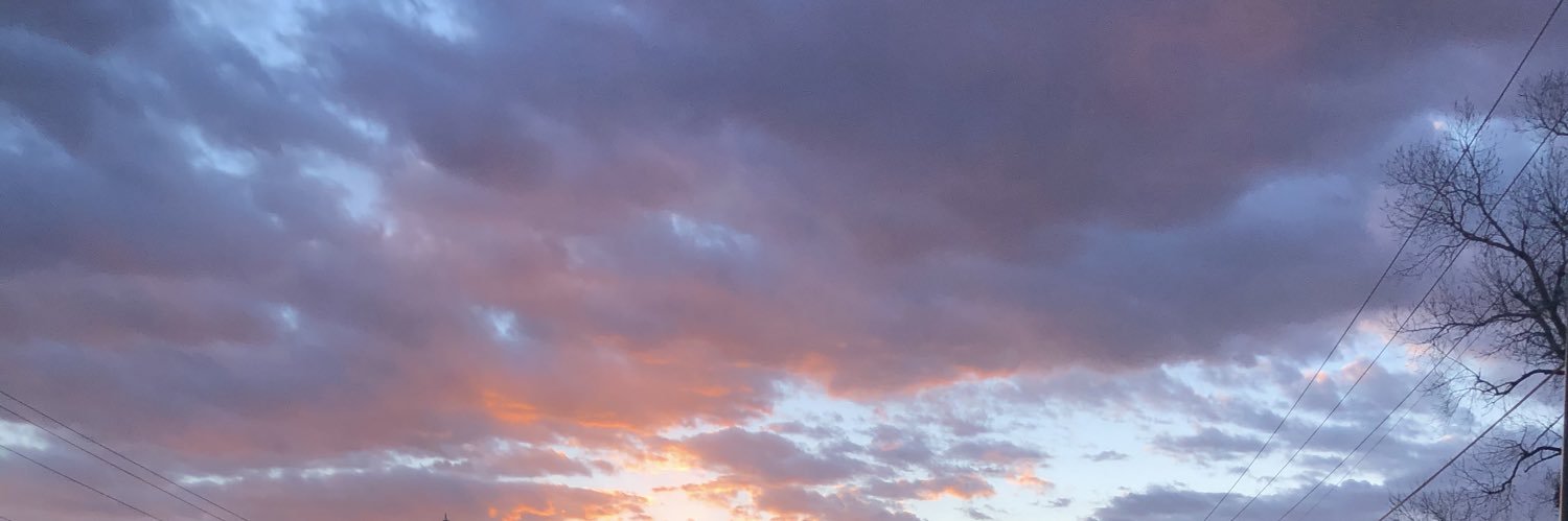 austellarose's profile banner image