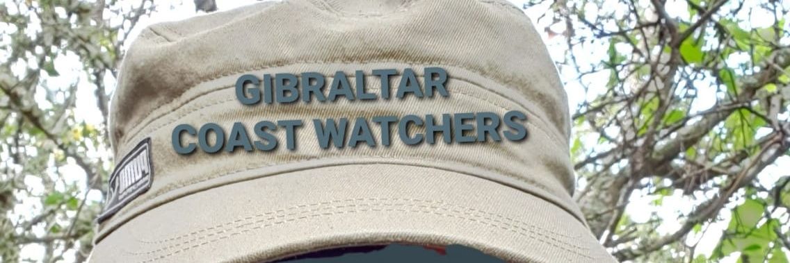 Michael J Sanchez banner