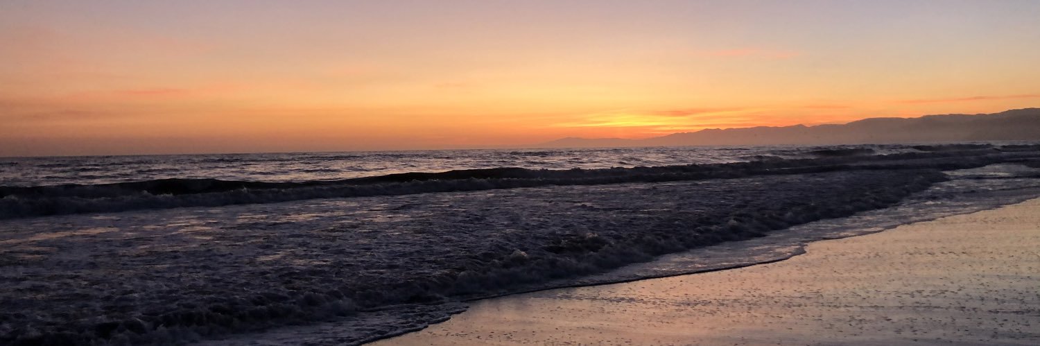 janessasimental's profile banner image