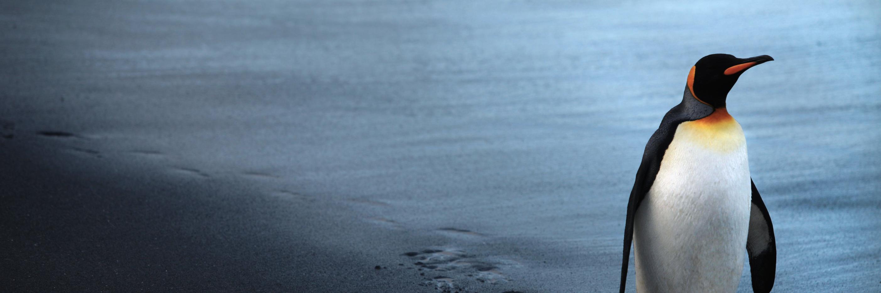 ynotjt's profile banner image