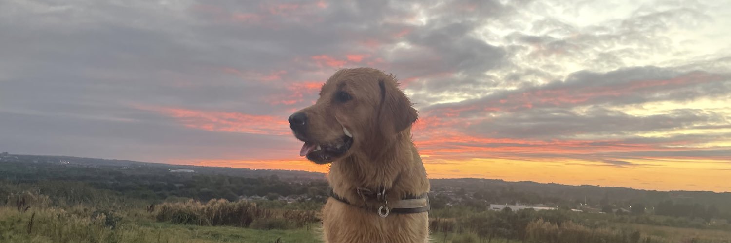 dave_i's profile banner image
