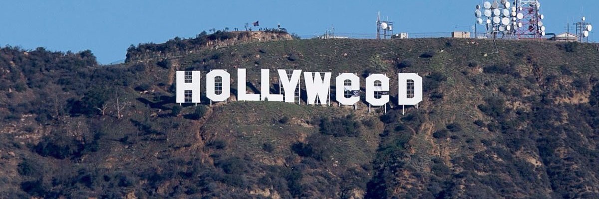 weedontt's profile banner image