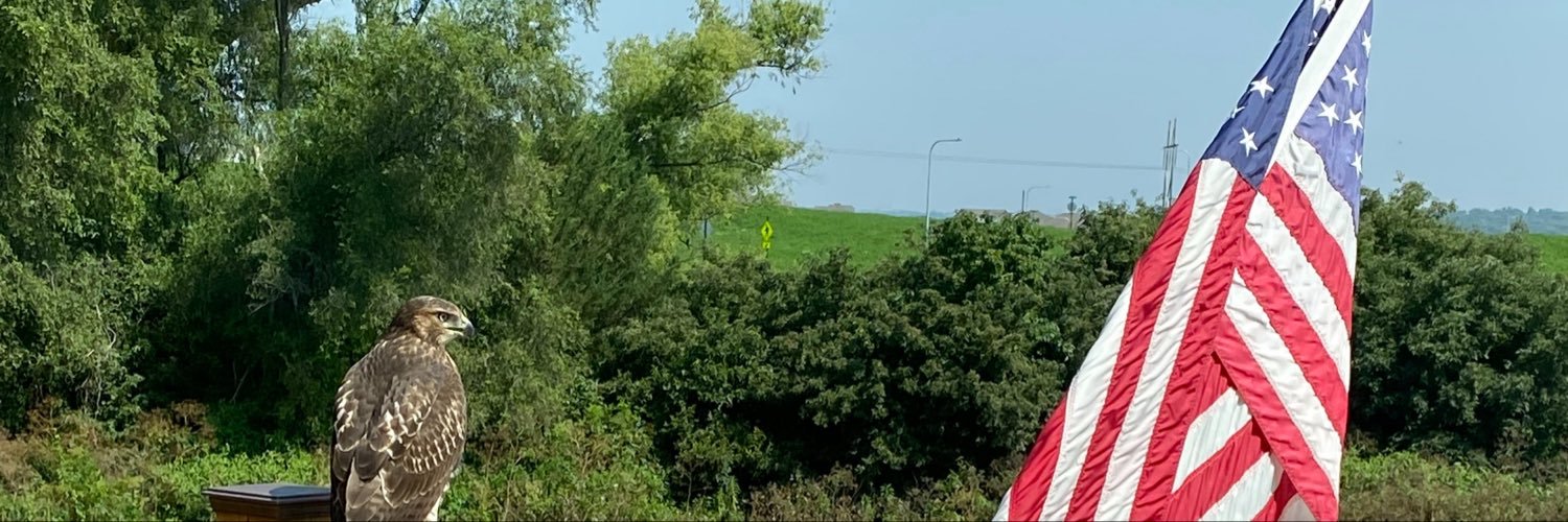 lisaozbiermann's profile banner image