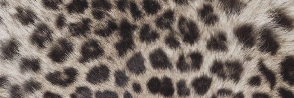 sherri_slates's profile banner image