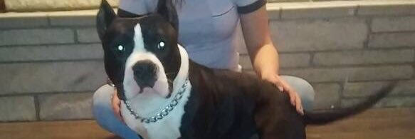 _abbbyy1's profile banner image